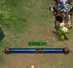 页游私服押镖采集